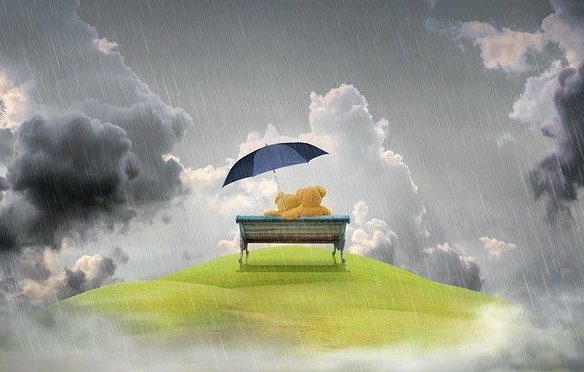 Agence Immobilière Alès / Mons -Pourquoi VIES ?